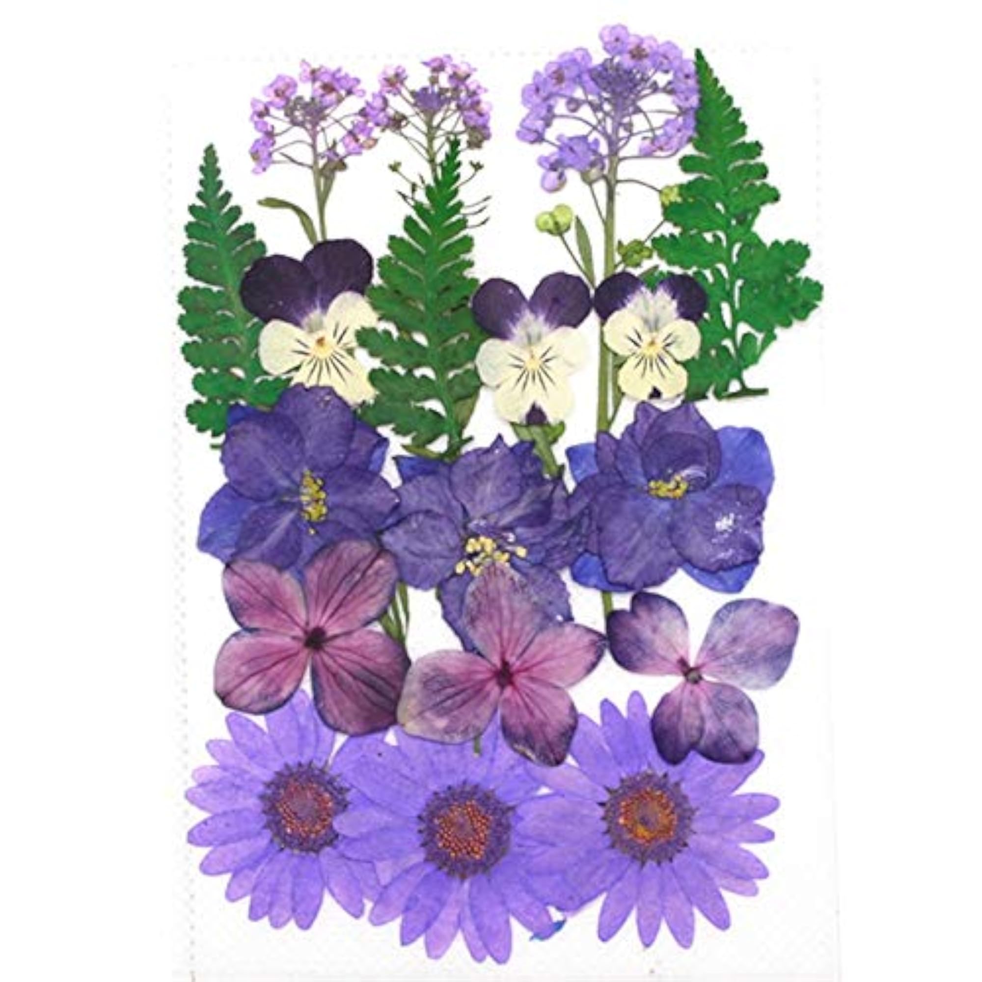 1 Pack Dried Flower DIY Mixed Real Craft